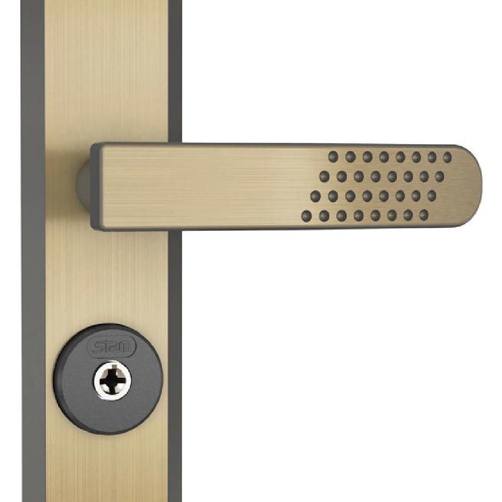 354556-1.jpg?v=202508080502